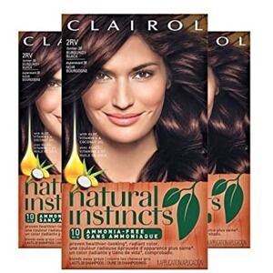 Clairol Natural Instincts Burgundy Black 2RV(38) Hair Color Dye Ammonia Free 3PK